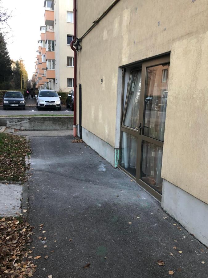 Gaby 2 Apartment Brasov Bagian luar foto